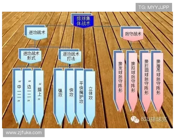 成都与深圳排球队对决后的战术分析与节奏探讨