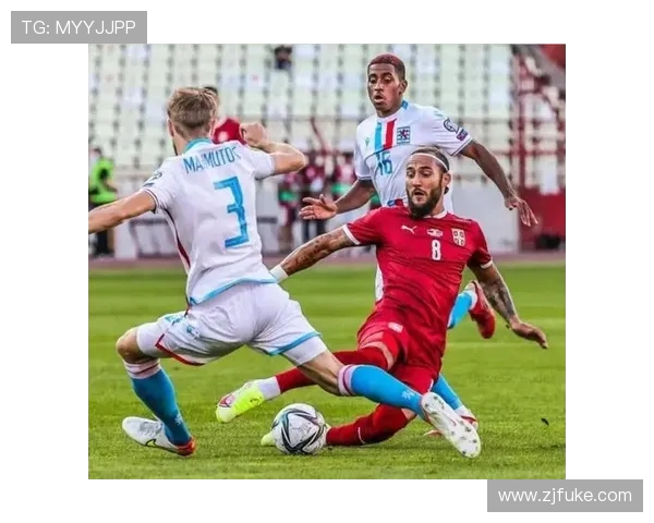 惠灵顿圣徒迎战南部鲨鱼激战在即球迷期待精彩对决