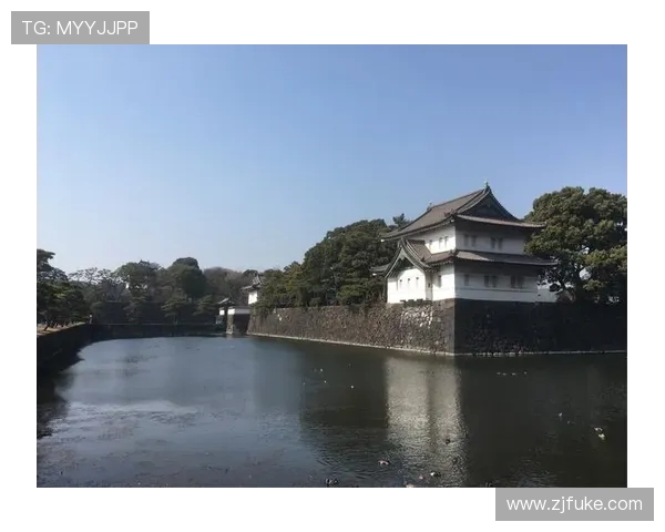 深圳飞盘队在马拉松大满贯中的强劲表现与团队精神分析